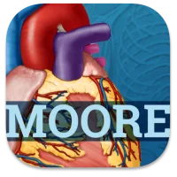 USMLE Clinical Anatomy